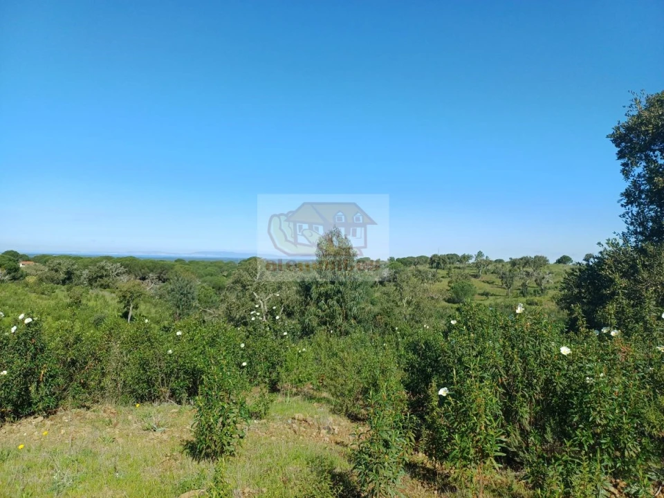 Terreno para Venda em Melides Foto 12