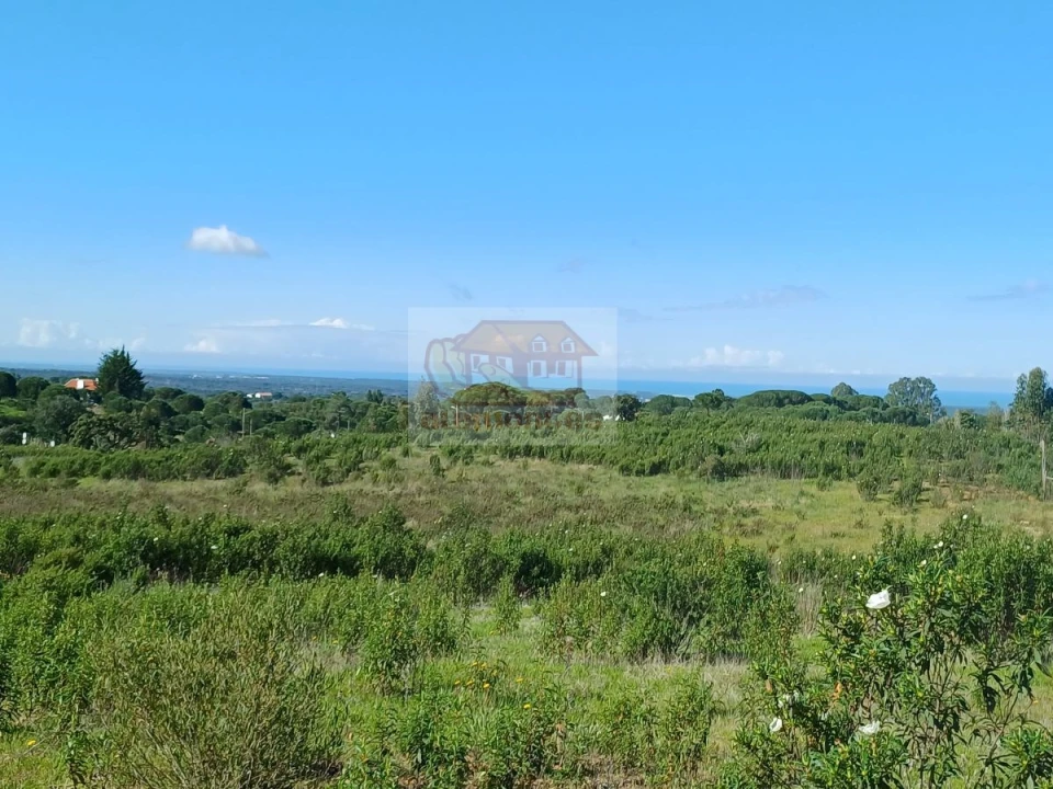 Terreno para Venda em Melides Foto 16