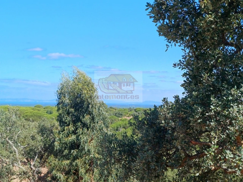 Terreno para Venda em Melides Foto 9