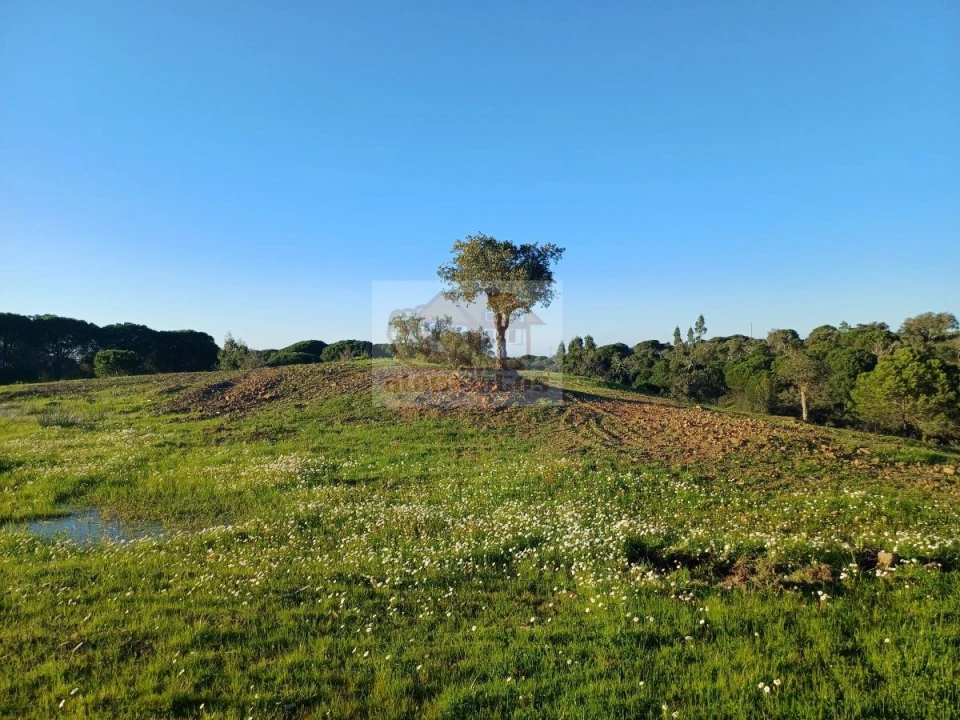 Terreno para Venda em Melides Foto 2