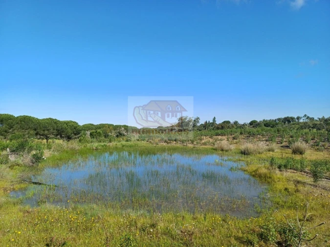 Terreno para Venda em Melides Foto 5