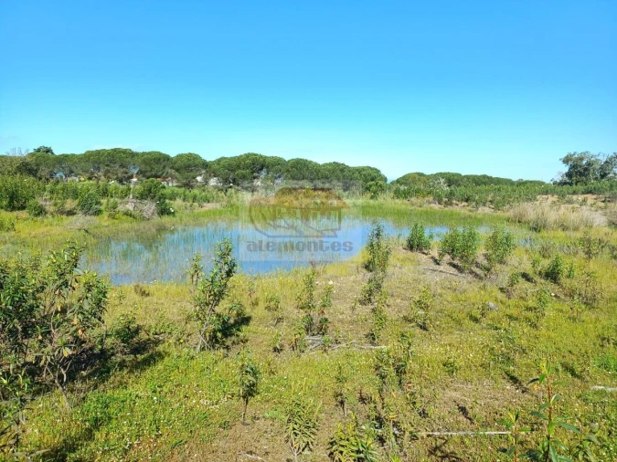 Terreno para Venda em Melides Foto 11