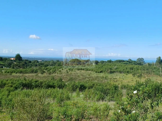 Terreno para Venda em Melides Foto 16