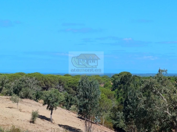 Terreno para Venda em Melides Foto 7