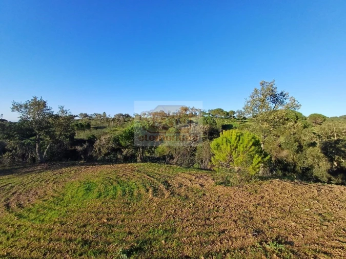 Terreno para Venda em Melides Foto 4