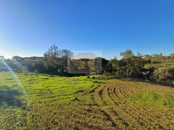 Terreno para Venda em Melides Foto 6