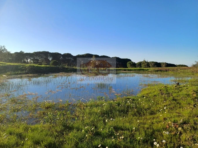Terreno para Venda em Melides Foto 1