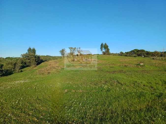 Terreno para Venda em Melides Foto 15