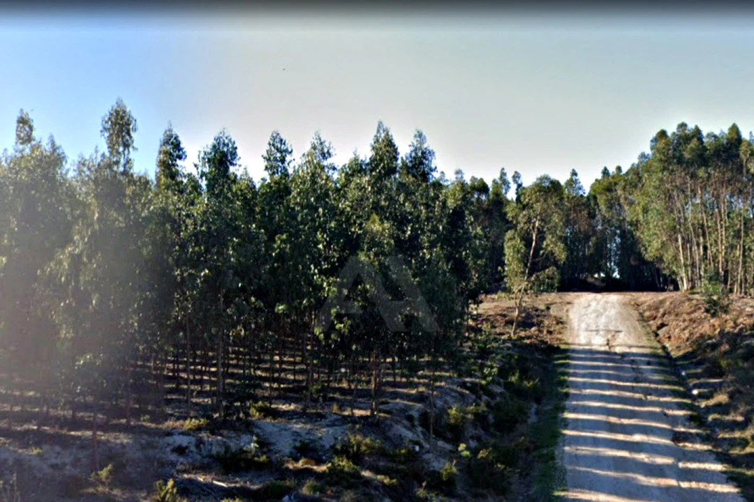 Terreno para Venda em Ramalhal Foto 8