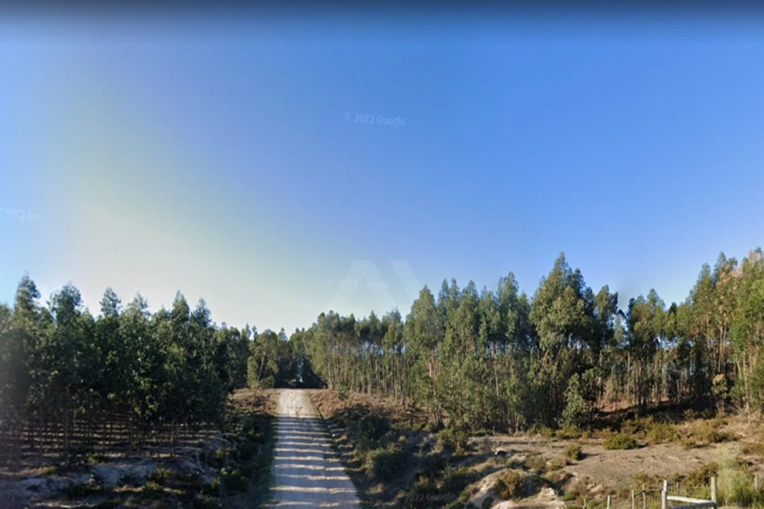 Terreno para Venda em Ramalhal Foto 10