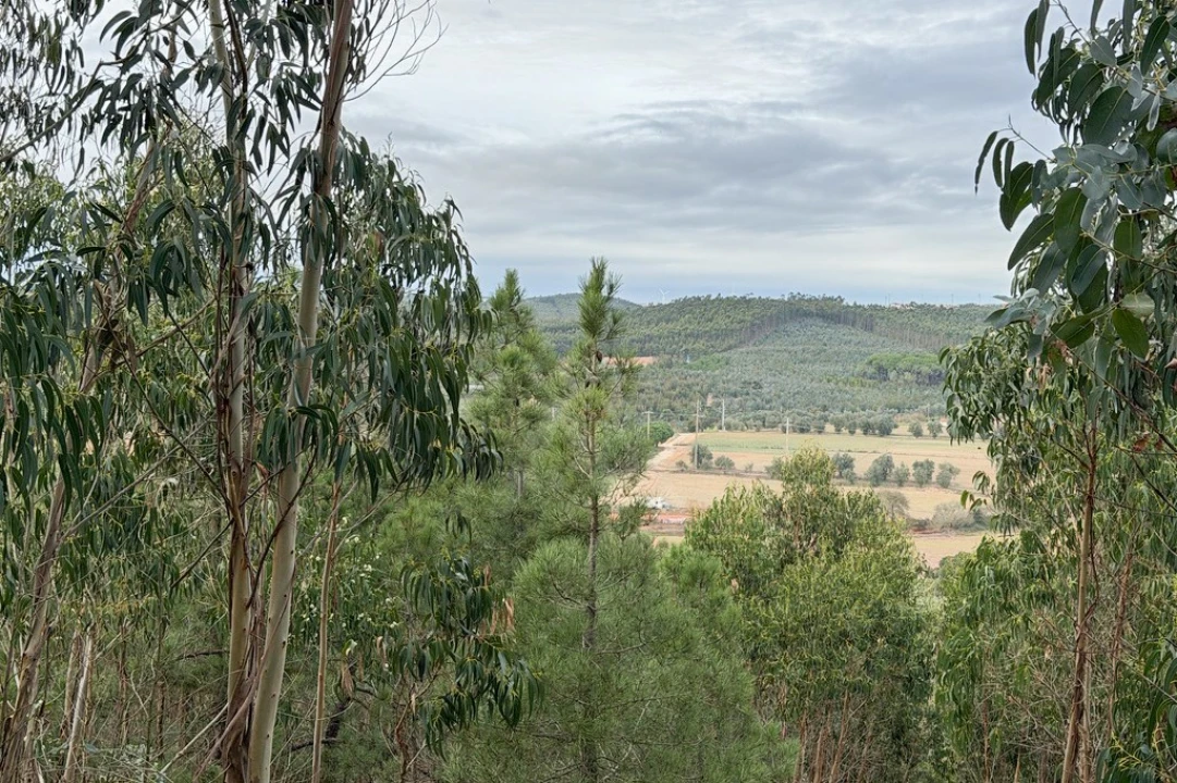 Terreno para Venda em Ramalhal Foto 18