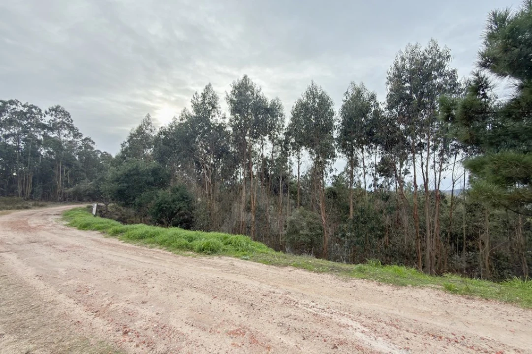 Terreno para Venda em Ramalhal Foto 24