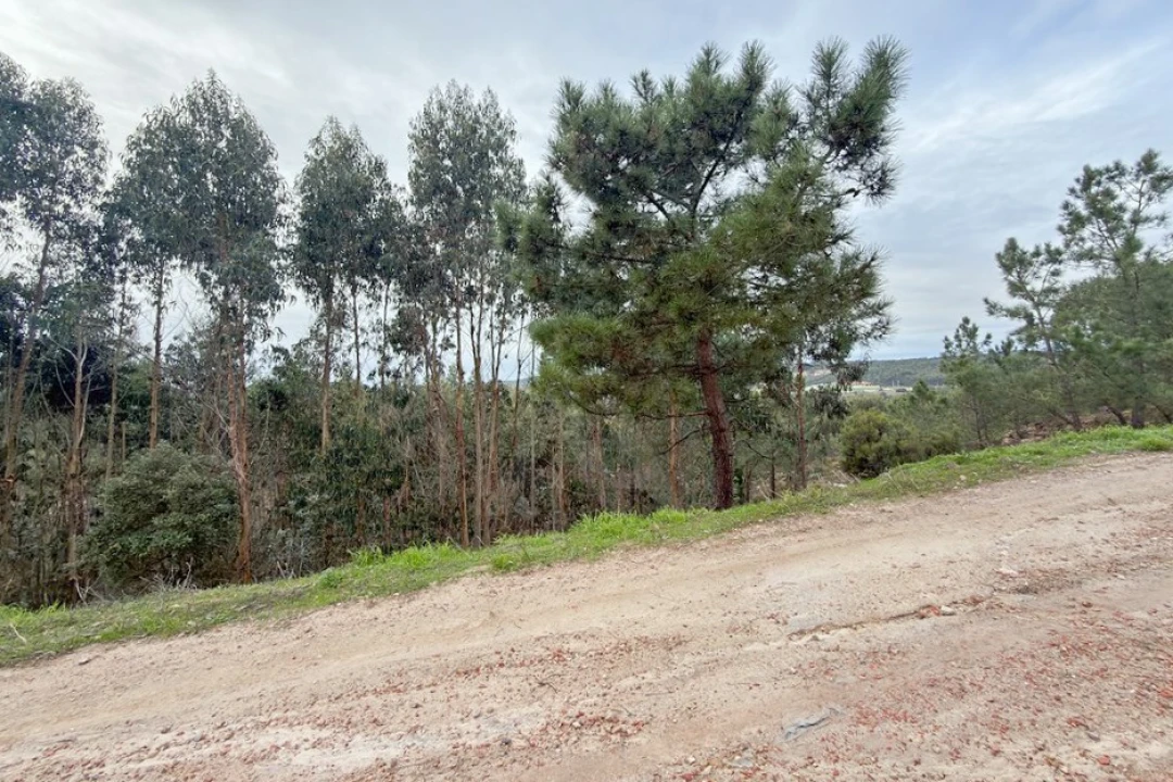 Terreno para Venda em Ramalhal Foto 25