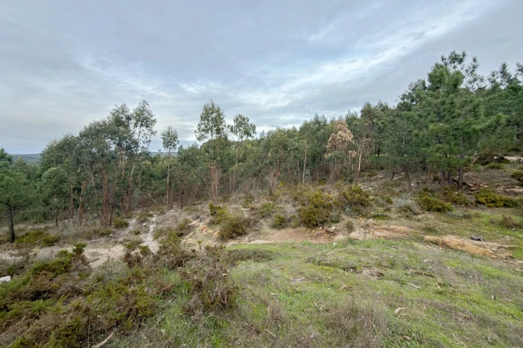 Terreno para Venda em Ramalhal Foto 1