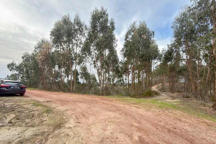 Terreno para Venda em Ramalhal Foto 22
