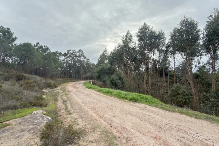 Terreno para Venda em Ramalhal Foto 23