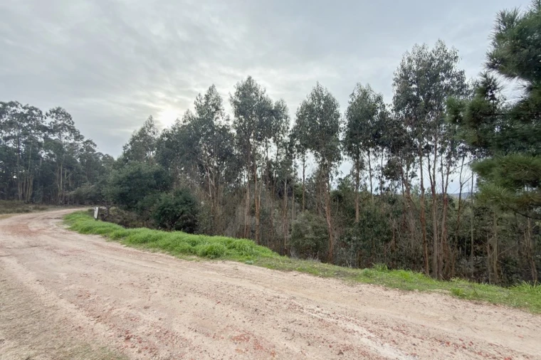 Terreno para Venda em Ramalhal Foto 24