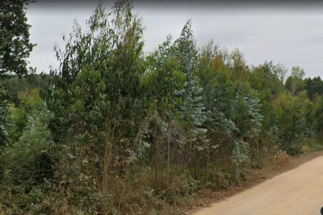 Terreno para Venda em Ramalhal Foto 15