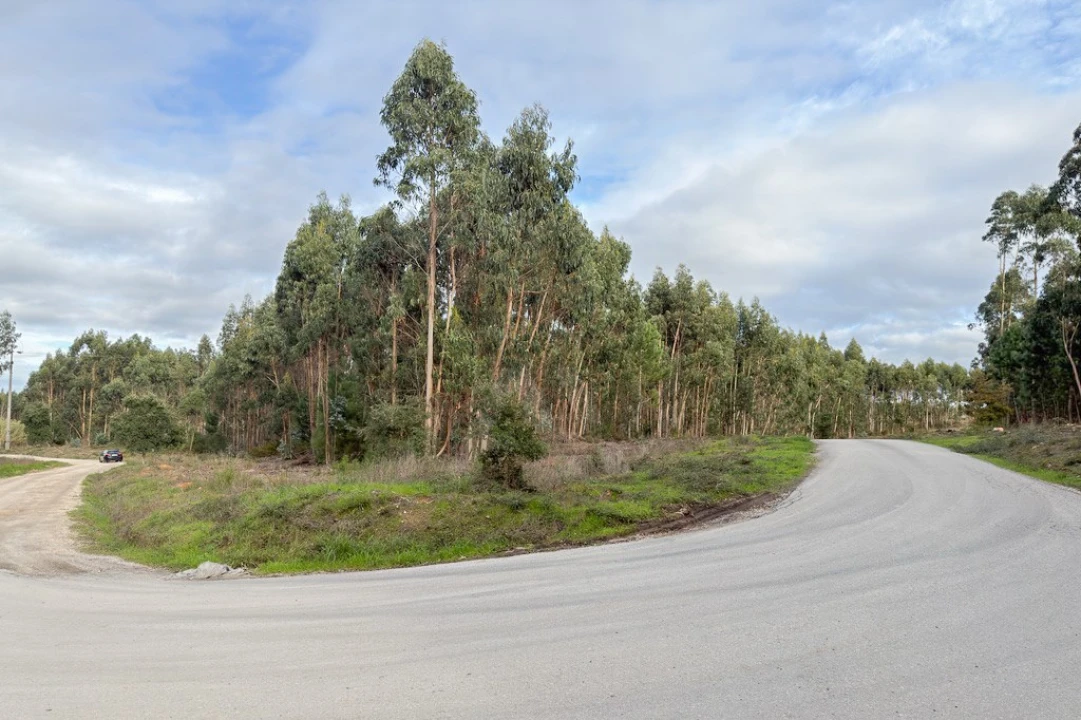 Terreno para Venda em Ramalhal Foto 16