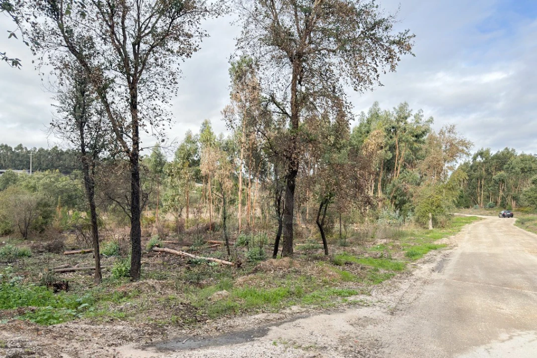 Terreno para Venda em Ramalhal Foto 17