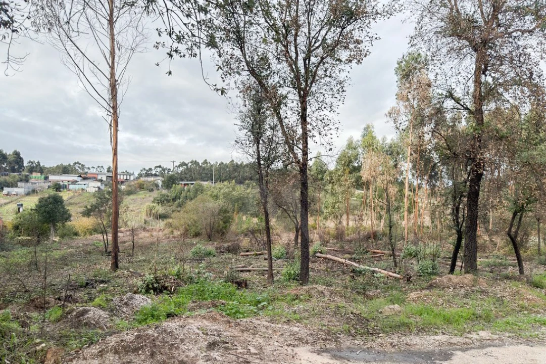 Terreno para Venda em Ramalhal Foto 18