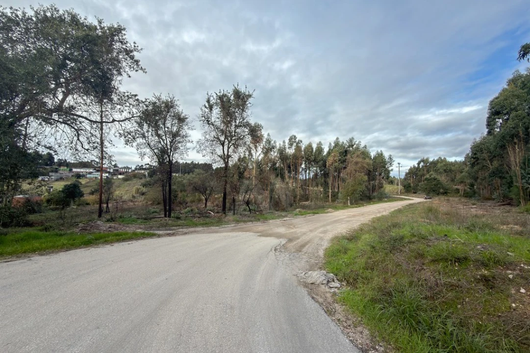 Terreno para Venda em Ramalhal Foto 21