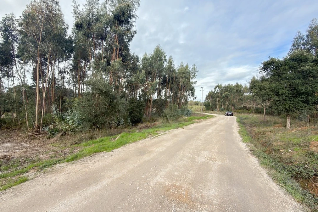 Terreno para Venda em Ramalhal Foto 22