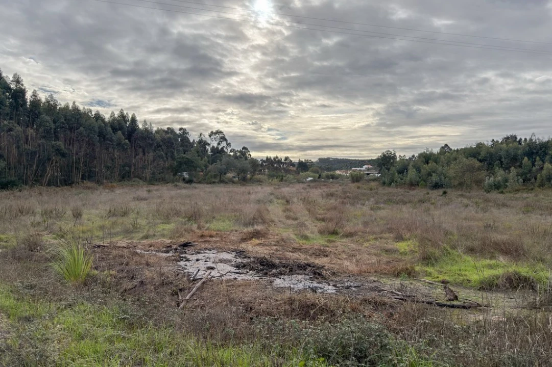 Terreno para Venda em Ramalhal Foto 4