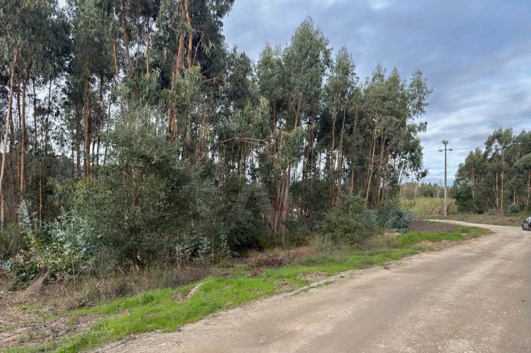 Terreno para Venda em Ramalhal Foto 27