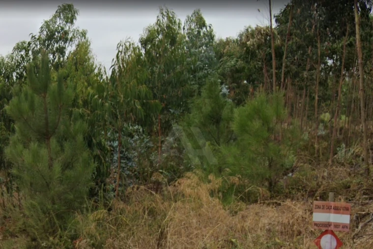 Terreno para Venda em Ramalhal Foto 8