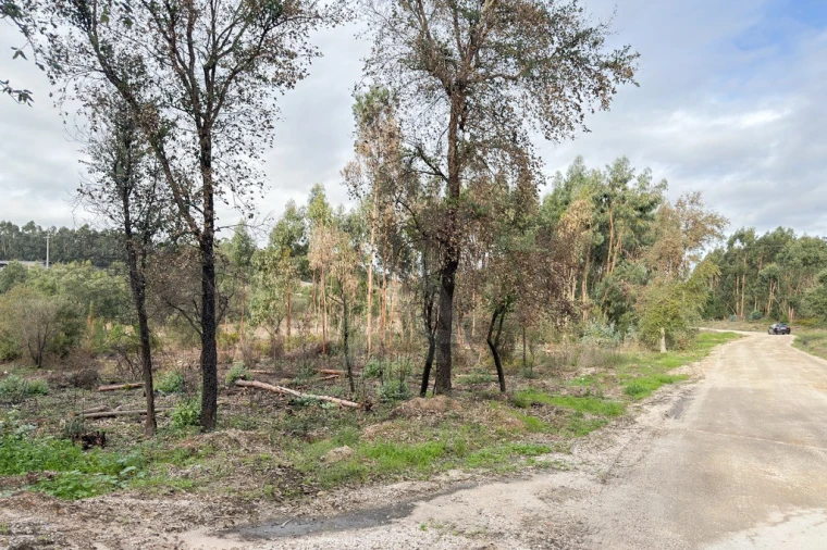Terreno para Venda em Ramalhal Foto 17