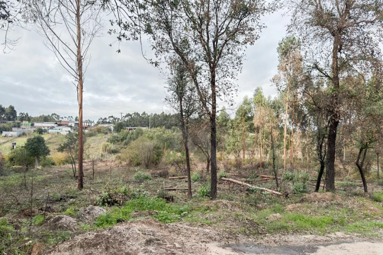 Terreno para Venda em Ramalhal Foto 18