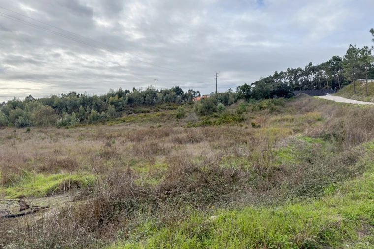 Terreno para Venda em Ramalhal Foto 2