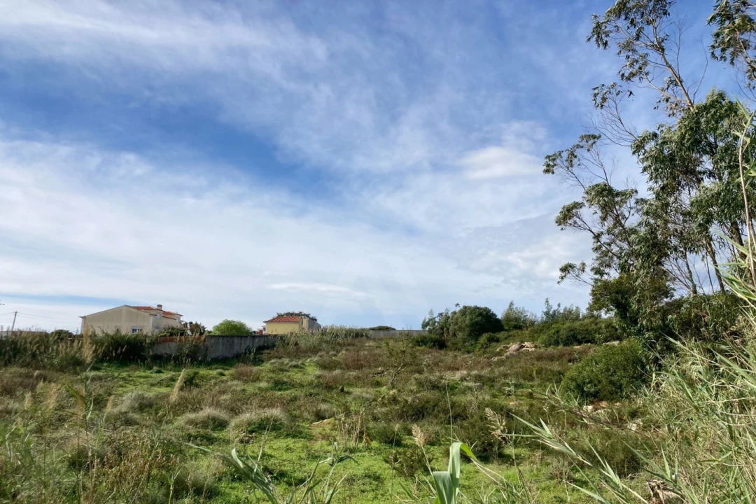 Terreno para Venda em São Bartolomeu dos Galegos e Moledo Foto 4