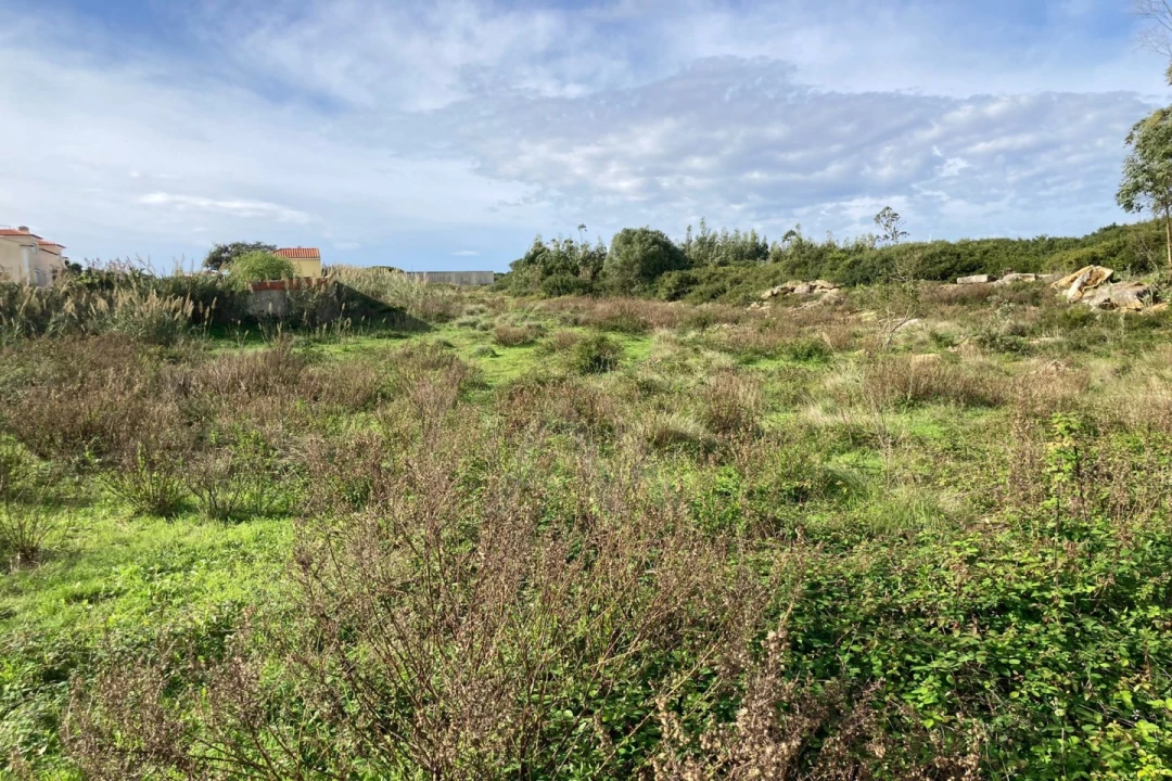 Terreno para Venda em São Bartolomeu dos Galegos e Moledo Foto 12