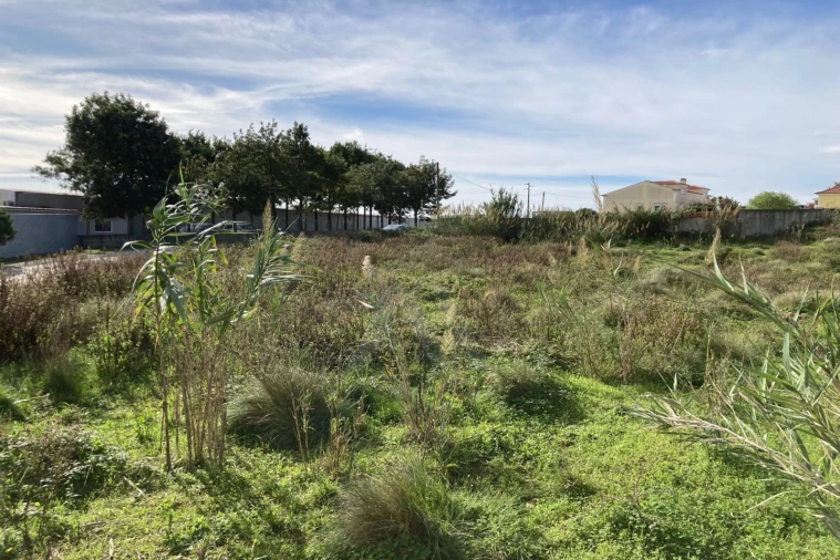 Terreno para Venda em São Bartolomeu dos Galegos e Moledo Foto 5