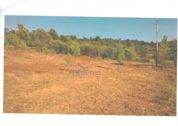 Terreno para Venda em Covas e Vila Nova de Oliveirinha Foto 1