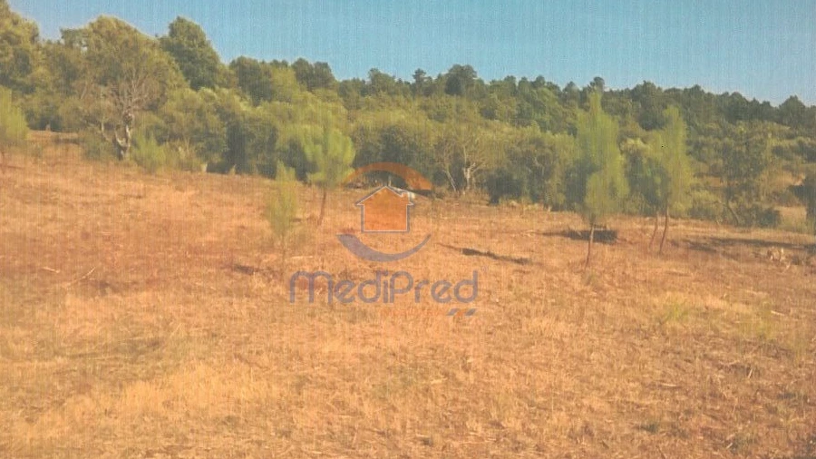Terreno para Venda em Covas e Vila Nova de Oliveirinha