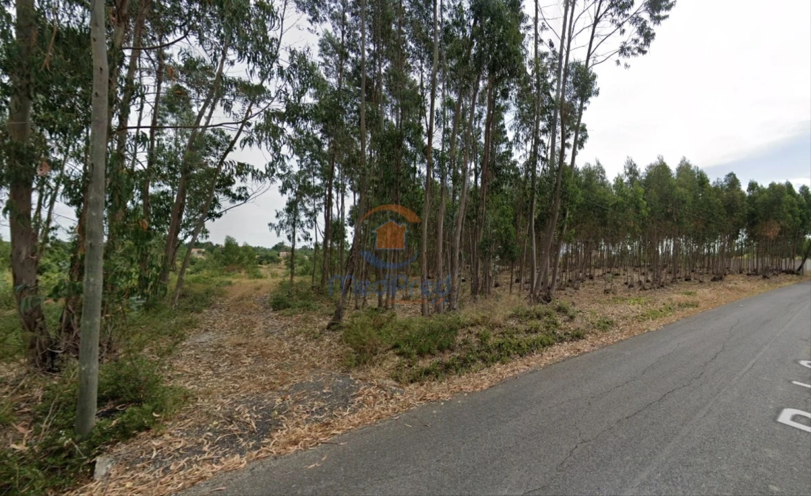 Terreno para Venda em Ereira e Lapa Foto 1
