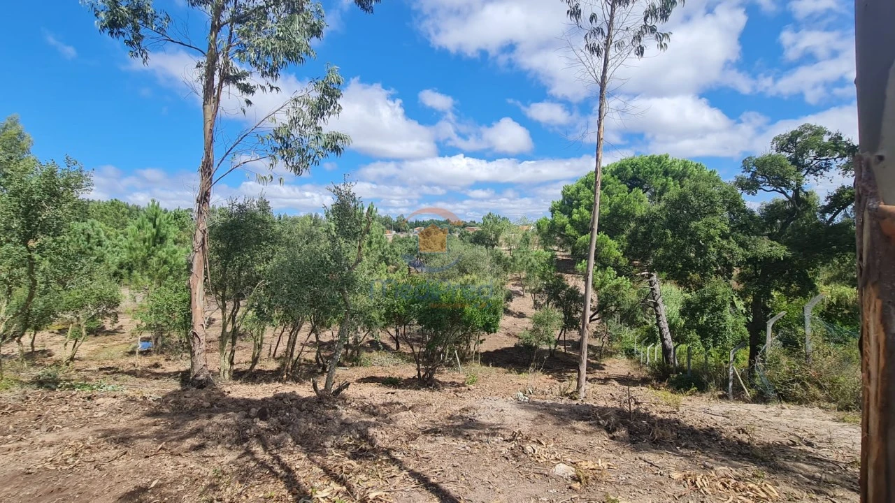 Terreno para Venda em Ereira e Lapa Foto 4