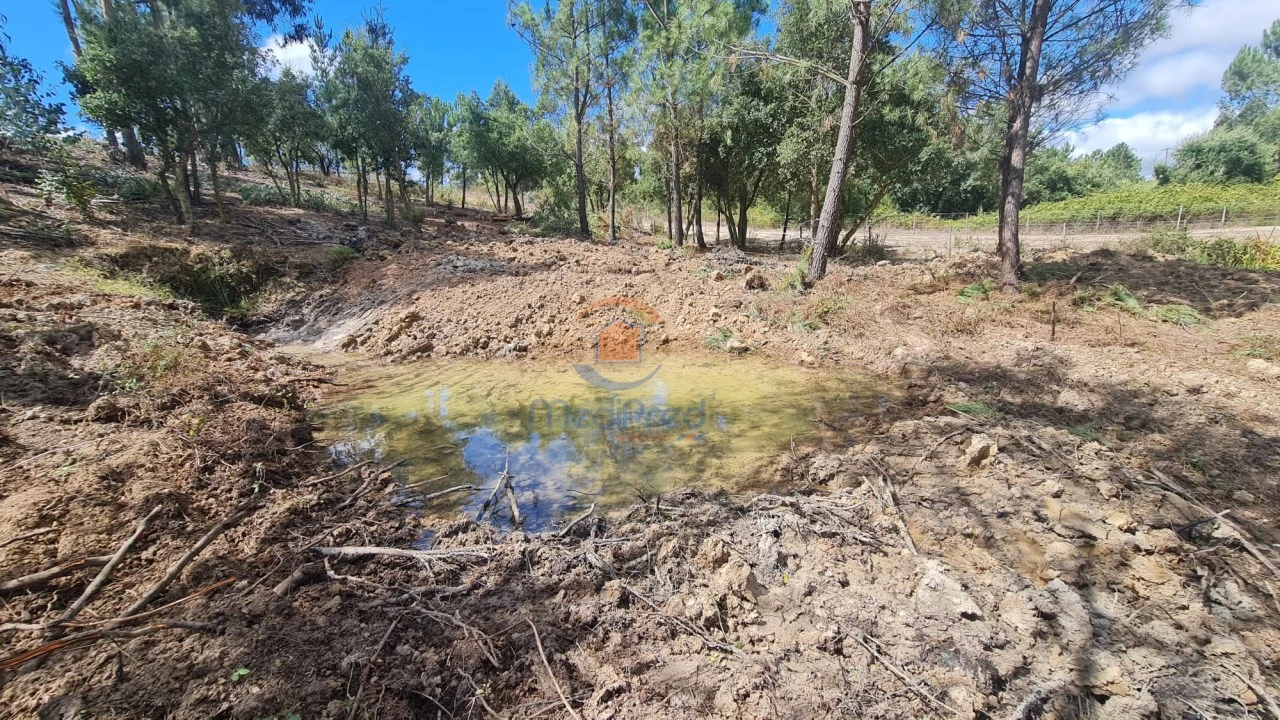 Terreno para Venda em Ereira e Lapa Foto 6