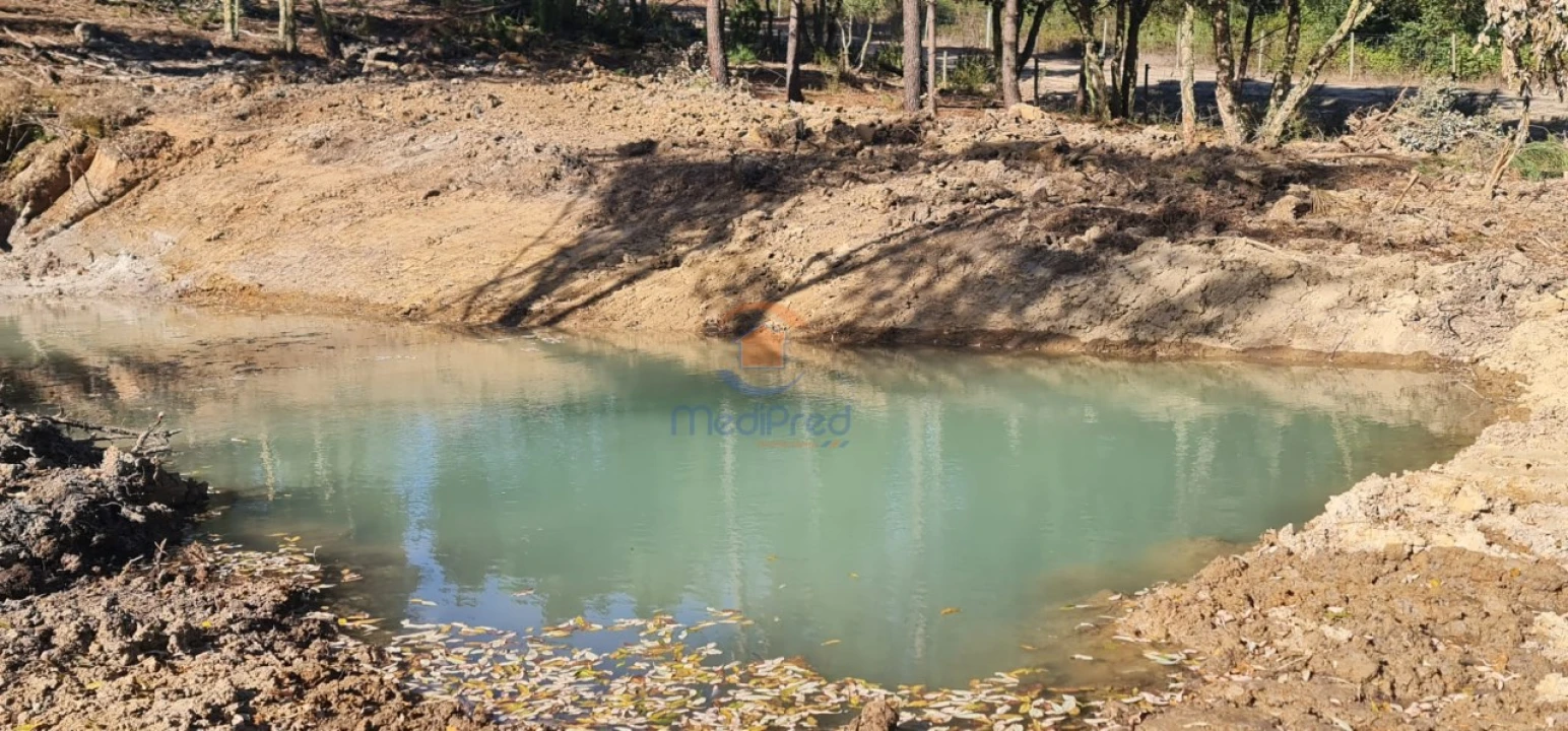 Terreno para Venda em Ereira e Lapa Foto 1