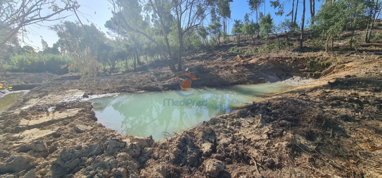 Terreno para Venda em Ereira e Lapa Foto 3