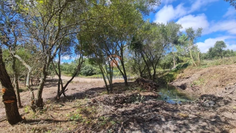 Terreno para Venda em Ereira e Lapa