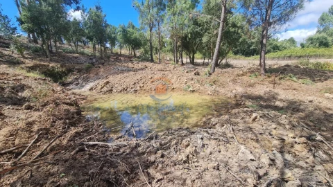 Terreno para Venda em Ereira e Lapa