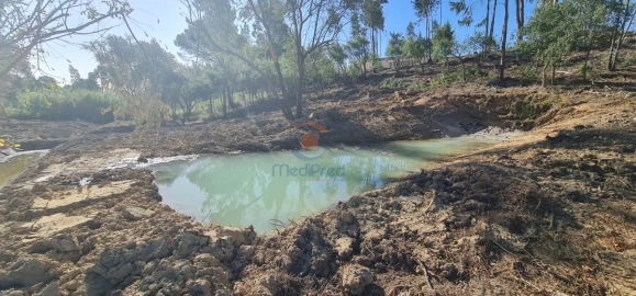 Terreno para Venda em Ereira e Lapa