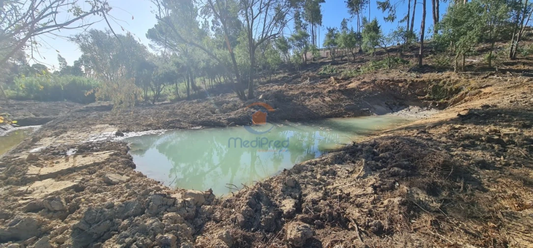 Terreno para Venda em Ereira e Lapa Foto 3