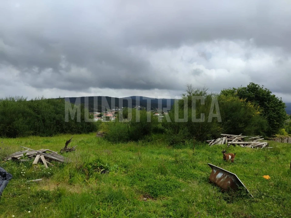 Terreno para Venda em Fragoso Foto 4