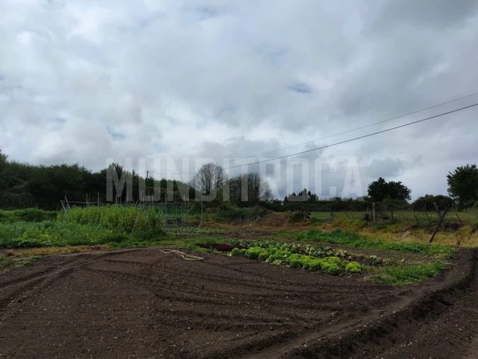 Terreno para Venda em Fragoso Foto 8