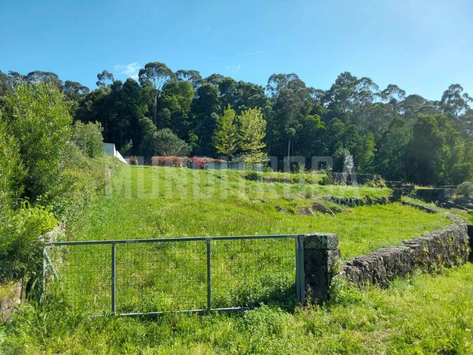 Terreno para Venda em Geraz do Lima (Santa Maria, Santa Leocádia, Moreira), Deão Foto 2